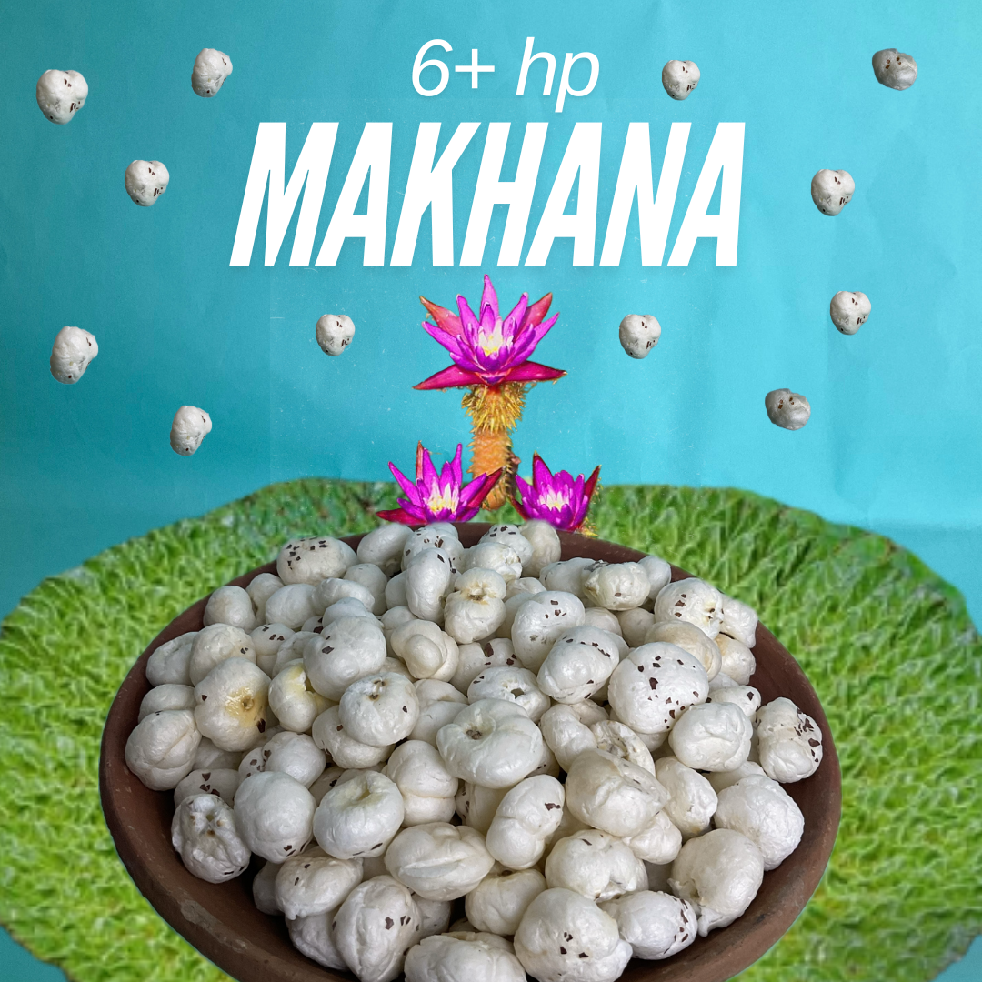 6+ HP Graded Makhana