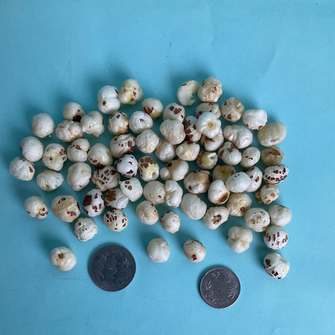 3+ Graded Makhana