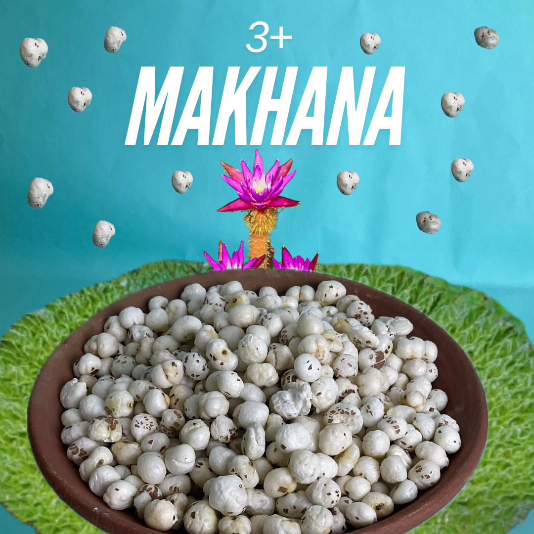 3+ Graded Makhana