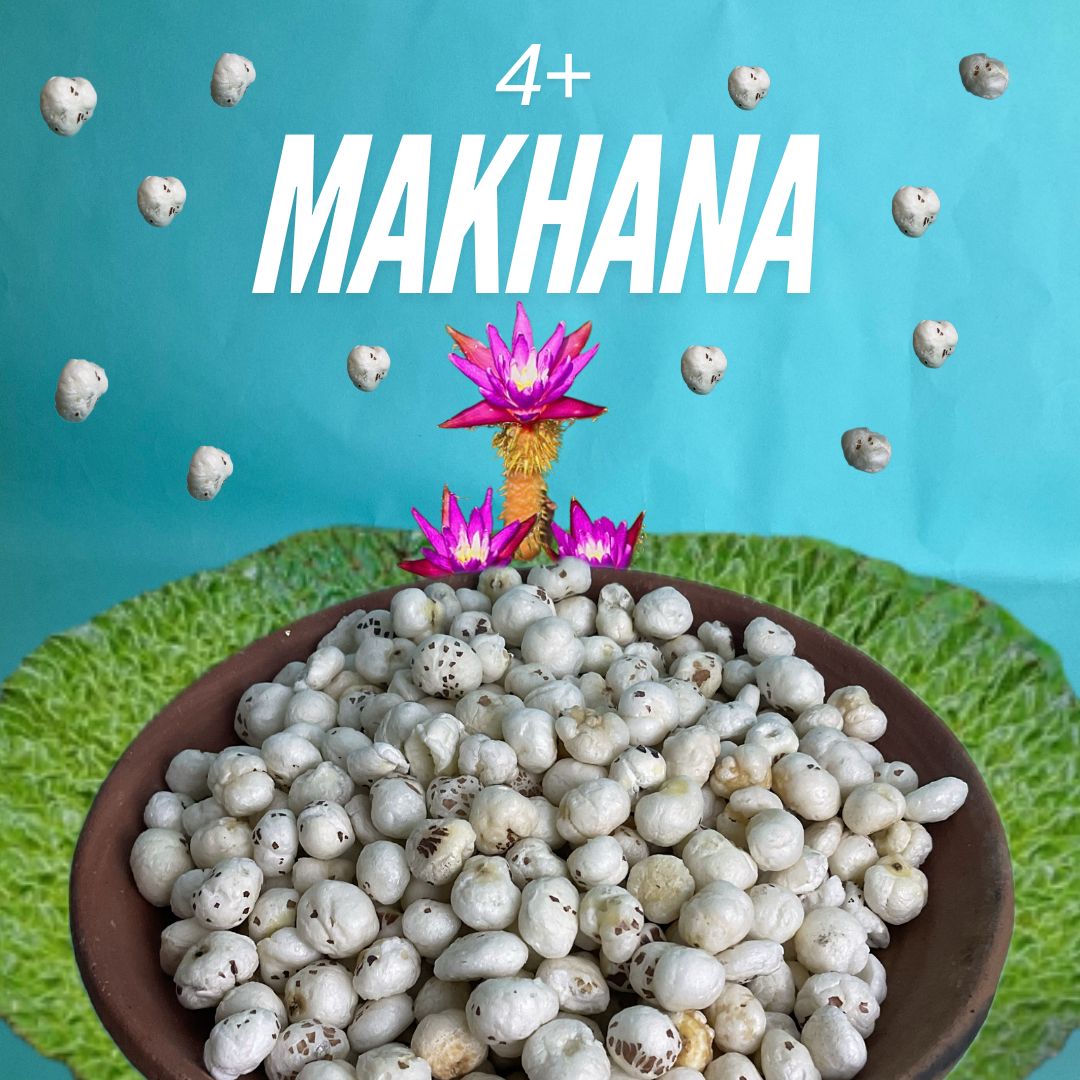 4+ Graded Makhana