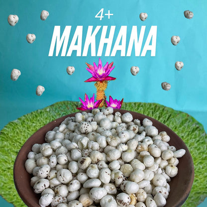 4+ Graded Makhana