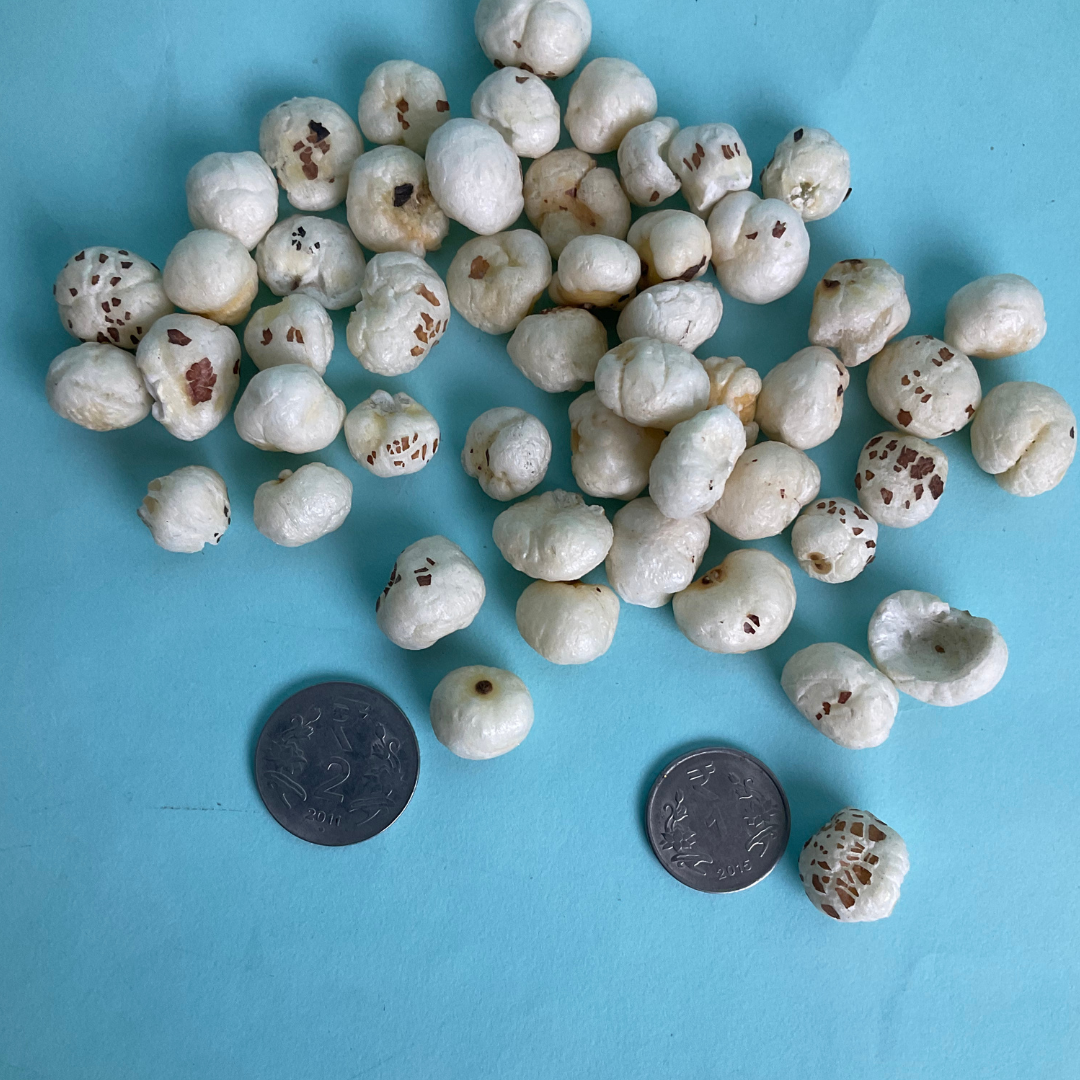 4+ Graded Makhana