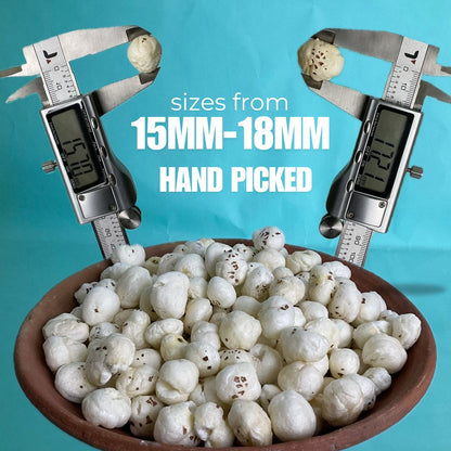 5+ HP Graded Makhana