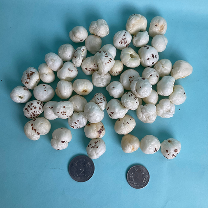 5+ HP Graded Makhana