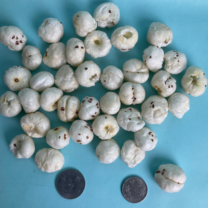 6+ HP Graded Makhana