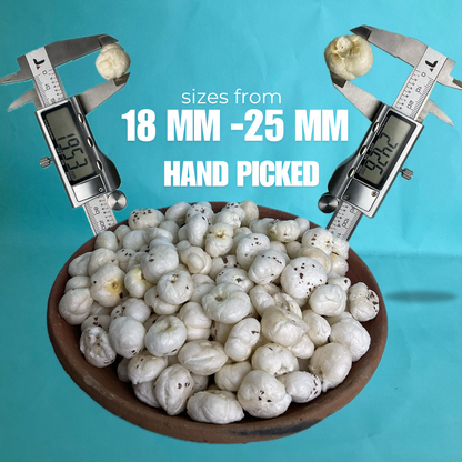 6+ HP Graded Makhana