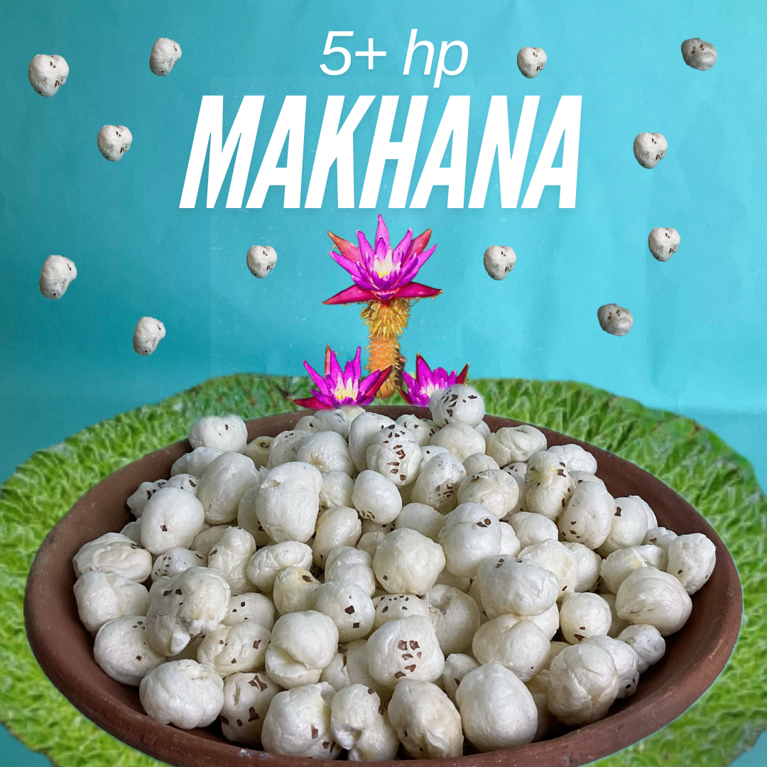5+ HP Graded Makhana