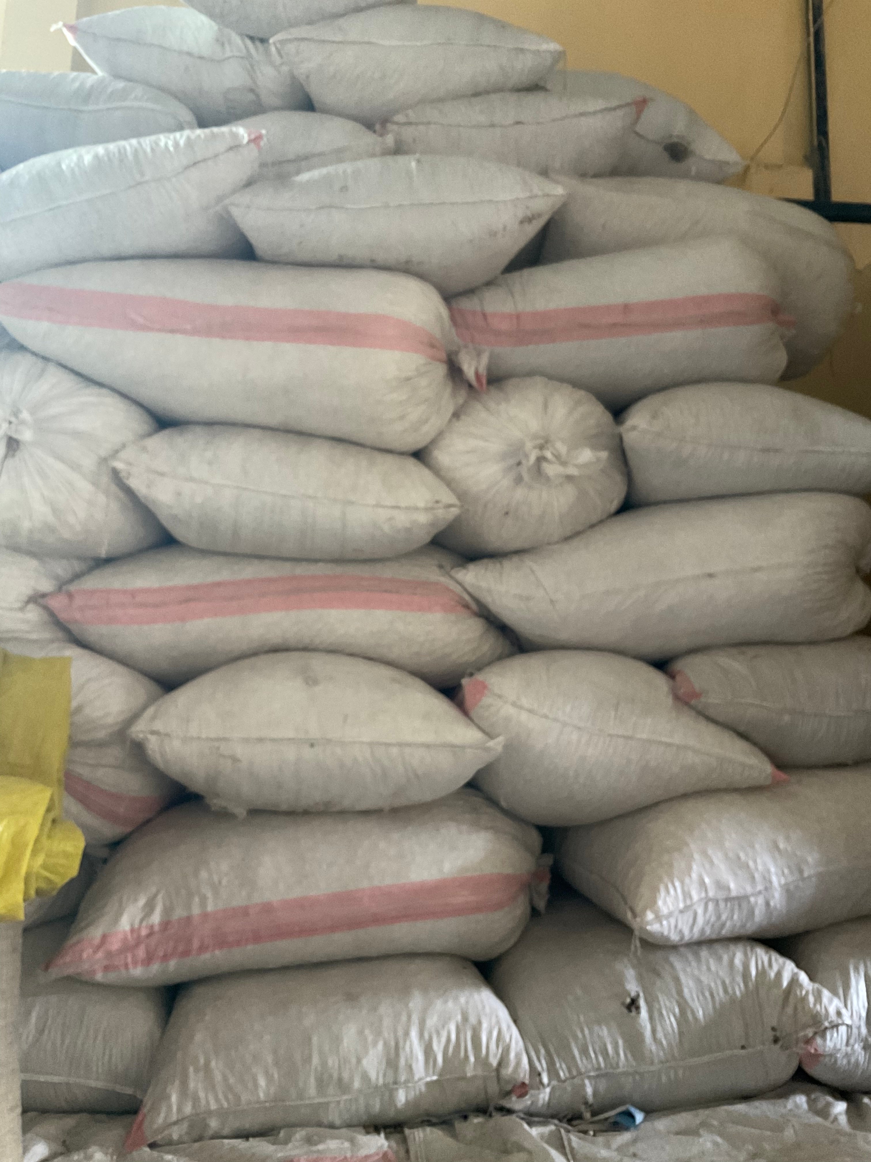 Stock bags photo